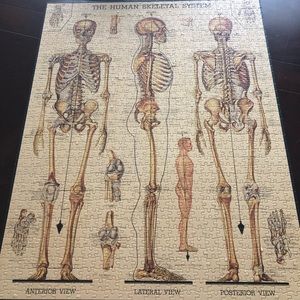 Jigsaw Puzzle 1000 pcs